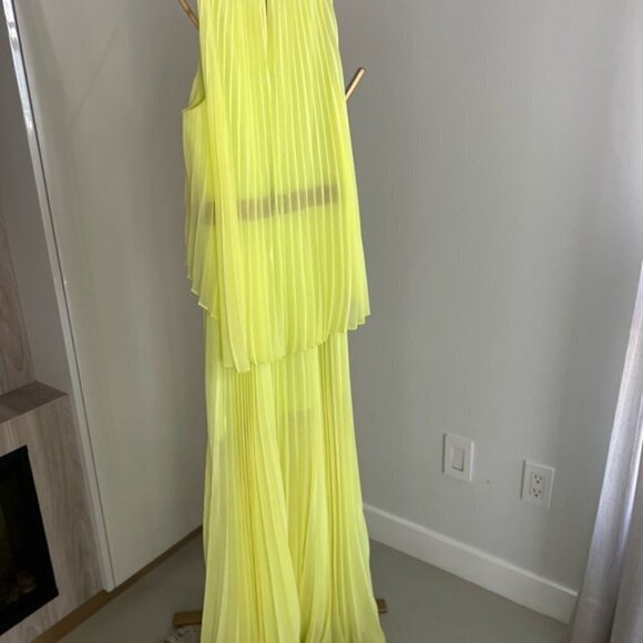 Bcbgmaxazria Shaina Sleeveless Pleated Gown - Picture 10 of 14